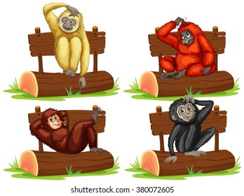 Four gibbons sitting by the sign illustration
