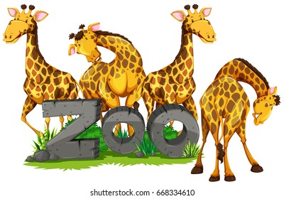 Four giraffes in the zoo illustration