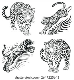 Quatro Ilustrações Gráficas de Onças em Várias Poses Incorporando Força Agilidade e Selvagem Feline Grace Representado com Linhas Negrito
