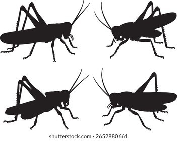 Quatro silhuetas de gafanhoto diferentes poses