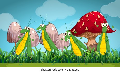 Four grasshoppers on the lawn illustration