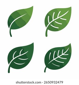 Cuatro gráficos de hojas verdes con venas blancas y subgrupos sobre un fondo blanco.