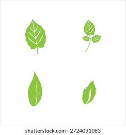 Vier grüne Blattillustrationen auf weißem Hintergrund, verschiedene Formen und Adern.