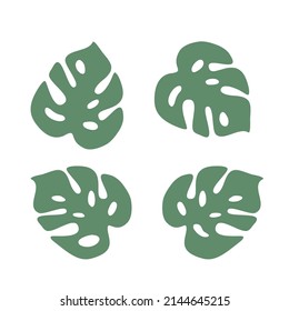four green monstera leaves vector