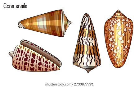 Cuatro conos dibujados a mano con varios patrones geométricos complejos y puntos contrastantes. Una concha de molusco marino vibrante y llamativa en forma de cono con una superficie lisa y brillante. Ilustración vectorial.