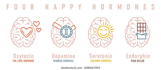 Cuatro hormonas felices. Dopamina, endorfina, serotonina, oxitocina. Importantes neurotransmisores. Cartel de paisaje con iconos de contorno. Ilustración vectorial editable aislada sobre fondo blanco.