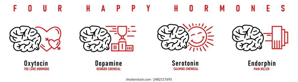 Four happy hormones. Dopamine, endorphin, serotonin, oxytocin. Important neurotransmitters. Landscape poster with outline black and red icons. Vector illustration isolated on a white background.