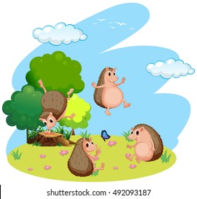 Four hedgehog in the field illustration