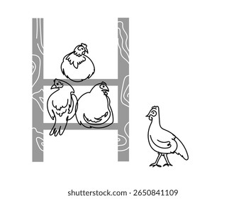 Four hens in a backyard chicken coop showing farm life and poultry farming concept. Hand drawn line drawing .Vector doodle illustration