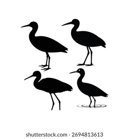 Cuatro pájaros garza de pie en diferentes poses. Ilustración de silueta de Vector negro aislado sobre fondo blanco. Perfecto para el logotipo, la impresión o cualquier diseño creativo.
