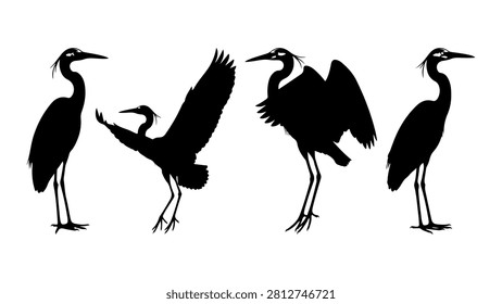 Four herons depicted in silhouette, showcasing different postures including standing, flying, and preening, highlighting their graceful forms.