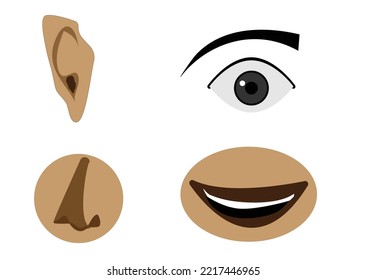 Four Human Face Parts Or Sensory Organs Set. Nose, Ear, Eye, Mouth.