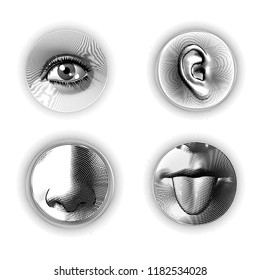 Four human part eye ear nose and tongue engraving drawing in circle shape isolated on white background