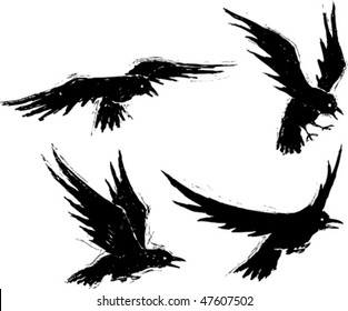 Four illustrated grungy crows. Vector file. Each crow is on a separate layer.