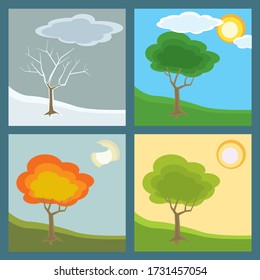 Cuatro imágenes del mismo árbol en las cuatro estaciones del año.