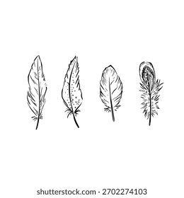 Cuatro plumas individuales dibujadas a mano en negro.