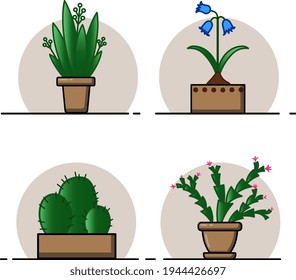 Four indoor plants in pots.