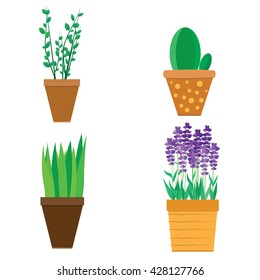 four indoor potted plants