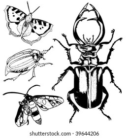 four insects