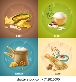 Four isolated cereals design concept or icon set with corn rice wheat and oats descriptions vector illustration