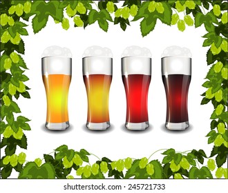 Four Kinds Of Beer In A Frame Of Green Hop