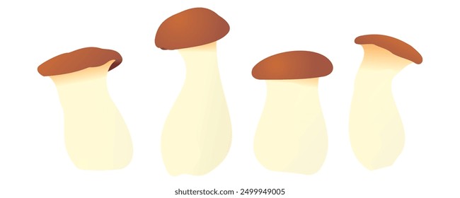 four king oyster mushrooms of different sizes