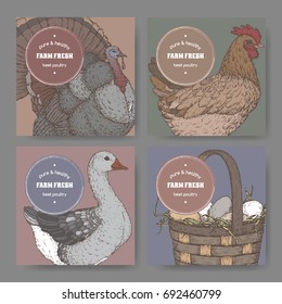 Four labels with hand drawn color poultry sketches. Great for organic store, farming, market or grocery design.