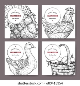 Four labels with hand drawn poultry sketches. Great for organic store, farming, market or grocery design.