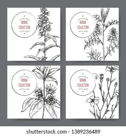 Four labels with star anise or badiane, liquorice, Digitalis and common flax sketch. Green apothecary series.