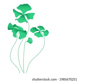 Four leaf clover drawn by hand with 4 realistic plants one of them still being born. Saint Patrick's day. Vector botanical illustration.
