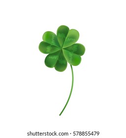 Four Leaf Clover for good luck. Vector illustration for the holiday of St. Patrick. Clover can be used on the website, magazine, newspaper, banner, poster.