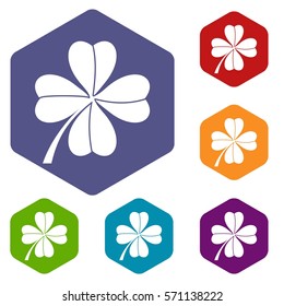 Four leaf clover icons set rhombus in different colors isolated on white background