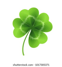 Four Leaf Clover Isolated On White. Vector Illustration EPS10