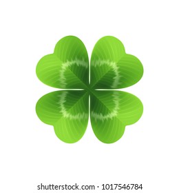 Four leaf clover isolated on white. Vector illustration