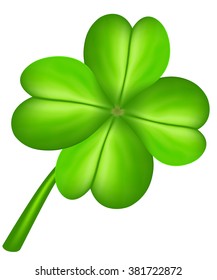 Four leaf clover isolated on white. Vector illustration