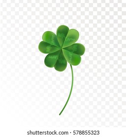 Four Leaf Clover on a transparent background. Vector illustration for the holiday of St. Patrick. Green clover in a realistic style. 