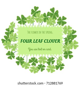 Four leaf colver card design. The flower in the spring. Green colver is vector for card.