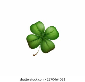 Four leaf realistic clover leaf isolated on white background. Vector illustration, print for background, print on fabric, paper, wallpaper, packaging