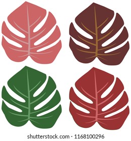 Four leafs of a monstera tropical plant in pink green red and burgundy color isolated on white background.