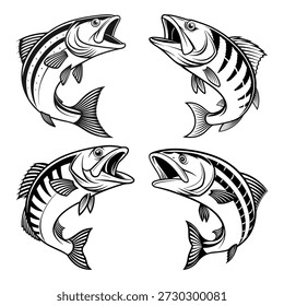 Cuatro saltos de peces rayados saltando acuático