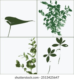 Four leaves, four designs, one story of life unfolding in the gentle hues of green.