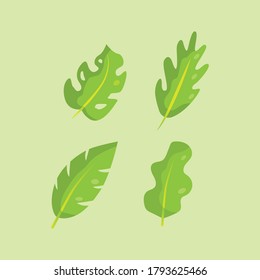 four leaves are green Vector Illustration