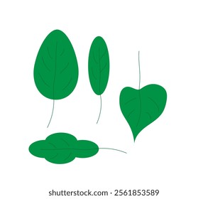 four leaves on a white background,