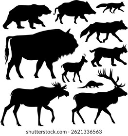 Four lege animals wildlife silhouette vector