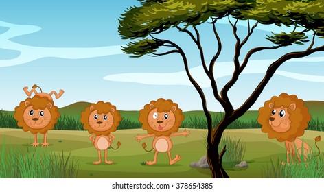 Four lions in the field illustration