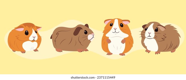 Four little cute guinea pigs sitting on a yellow background