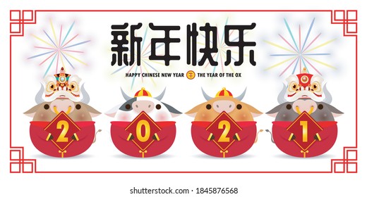 Four little ox and lion dance holding a sign golden, Happy Chinese new year 2021 year of the ox zodiac, cute Little cow Cartoon isolated vector illustration, Translation: Happy Chinese new year 