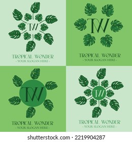 Four logotype pemplete set tropical leaves color illustration