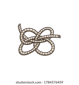 Four loop sailor cord knot isolated on white background. Tom Fool's knot bent and tied with added rope ends, flat vector illustration of marine style decoration.