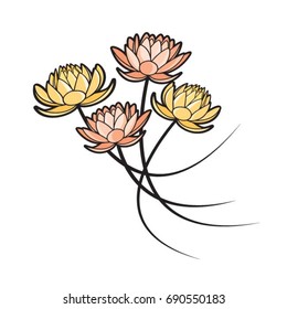 four lotus flowers in color-vector drawing